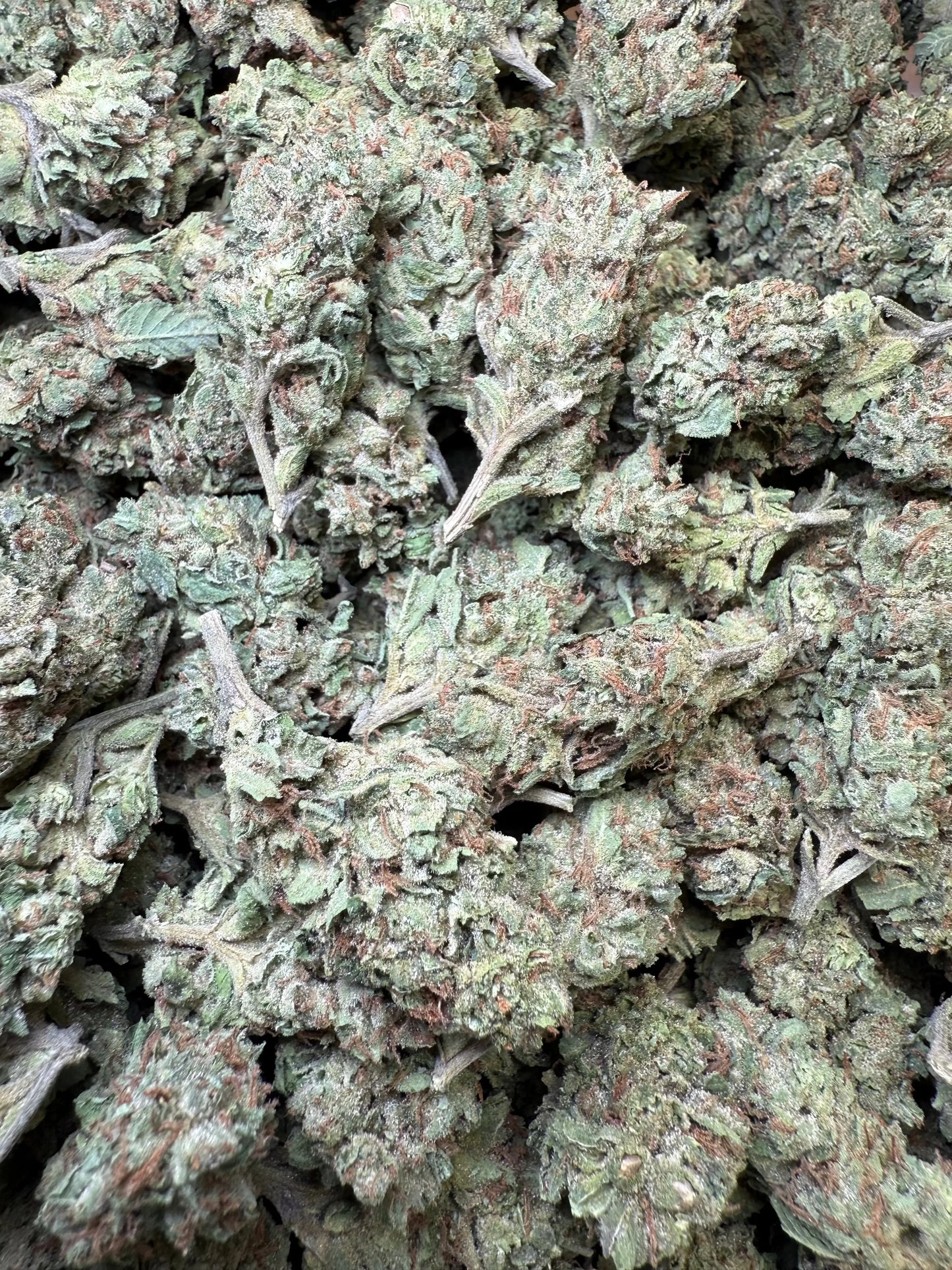 1 Pound - Frosted Fruit Cake THCA Strain s Frisco Labs