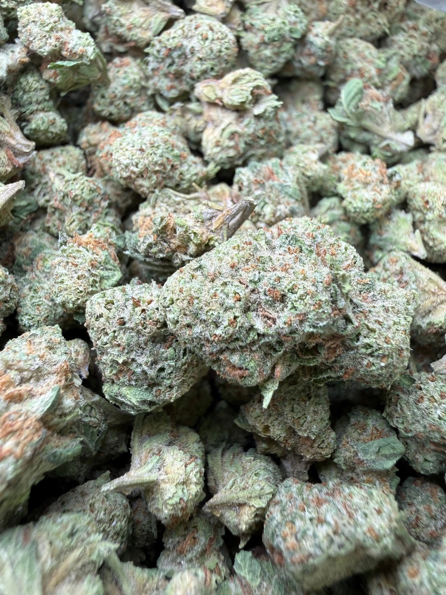 1 Pound - Frosted Fruit Cake THCA Strain (Smalls) Frisco Labs