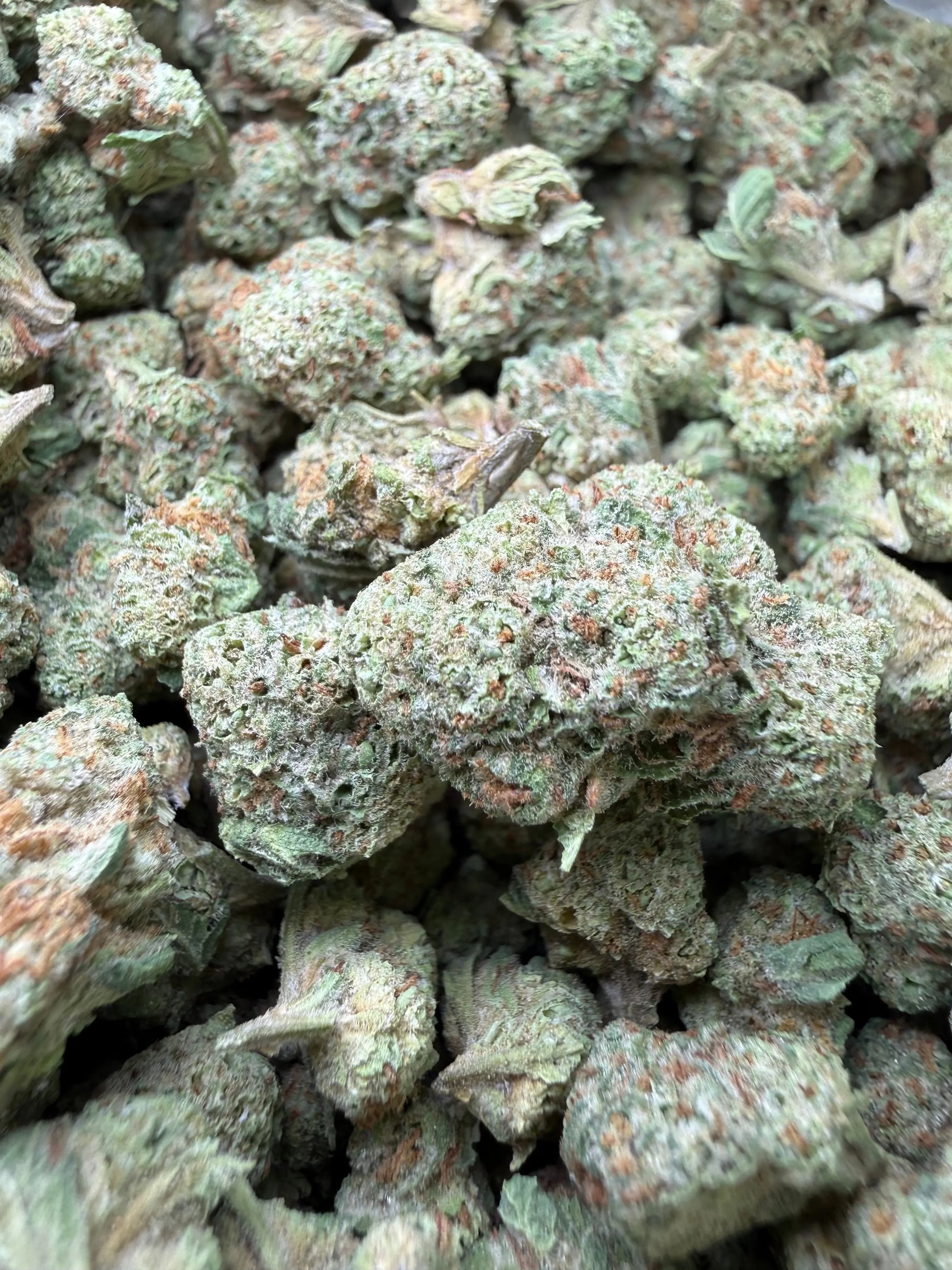 1 Pound - Frosted Fruit Cake THCA Strain (Smalls) Frisco Labs