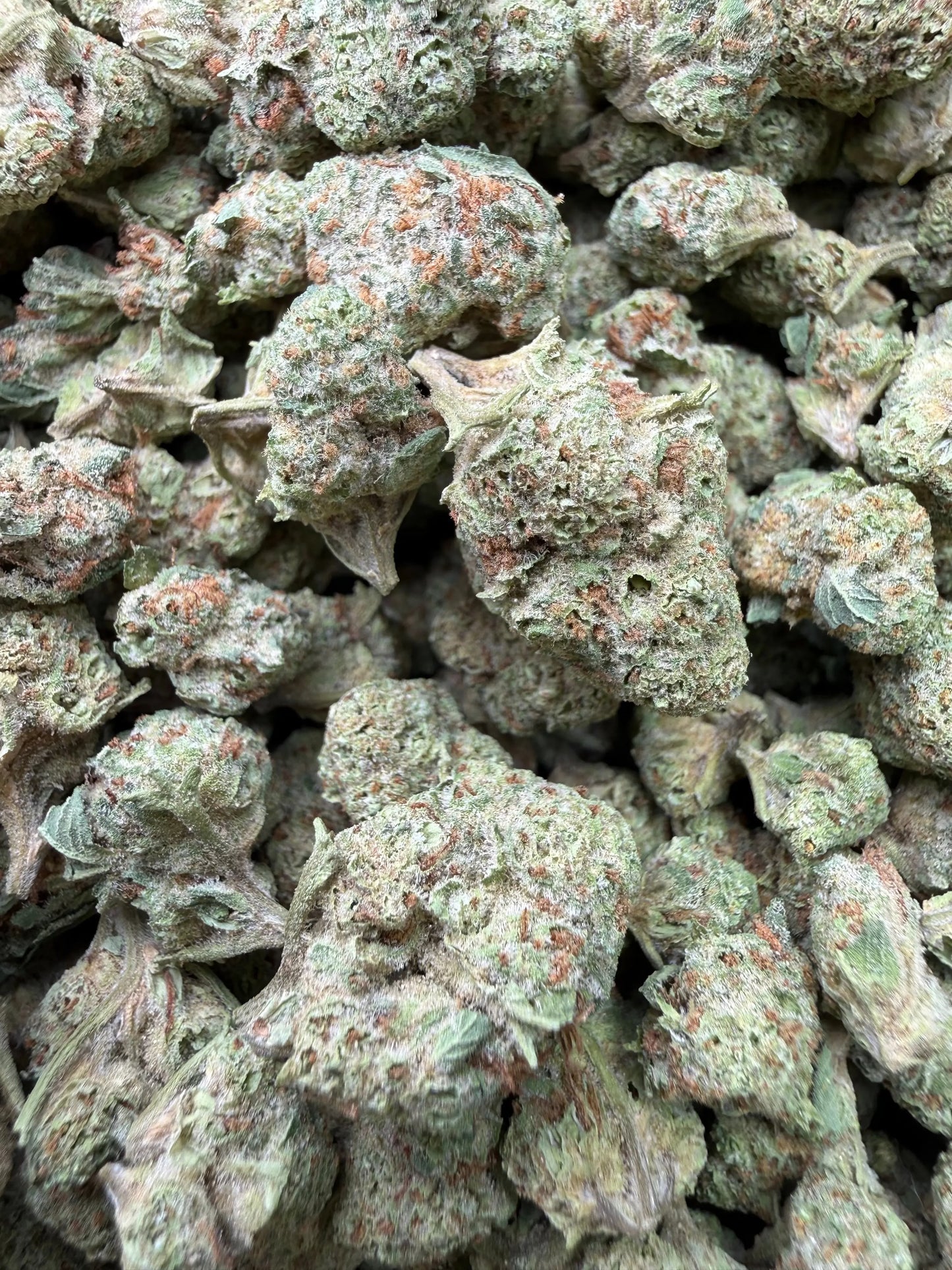 1 Pound - Frosted Fruit Cake THCA Strain (Smalls) Frisco Labs