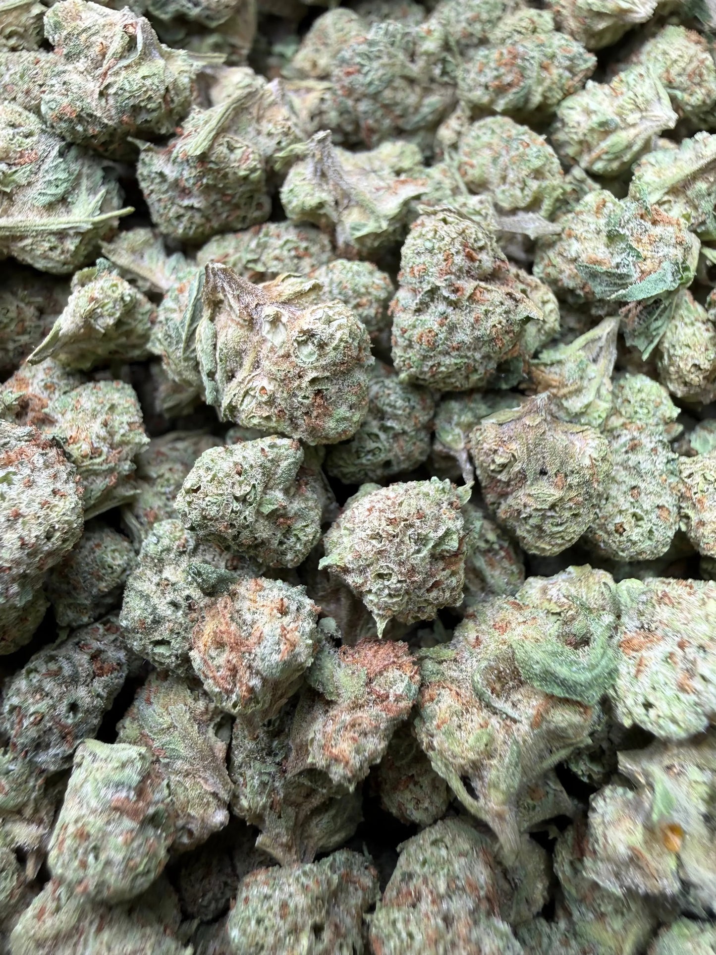 1 Pound - Frosted Fruit Cake THCA Strain (Smalls) Frisco Labs