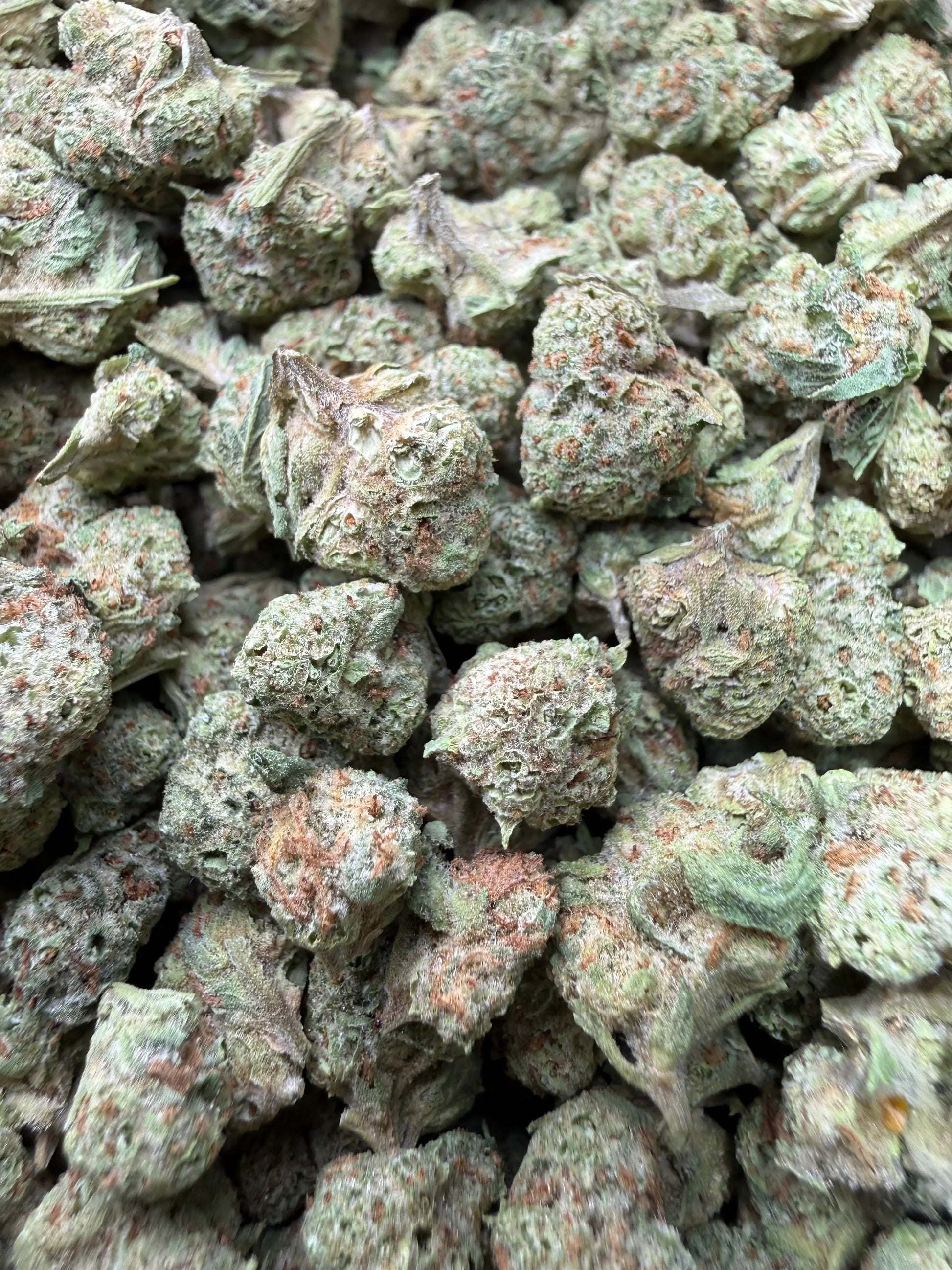 1 Pound - Frosted Fruit Cake THCA Strain (Smalls) Frisco Labs