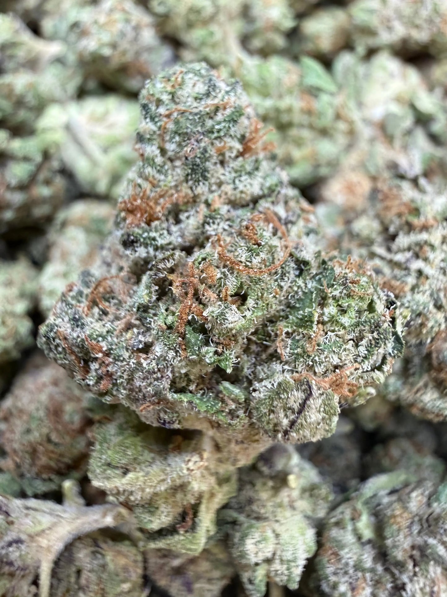 1 Pound - Frosted Fruit Cake THCA Strain (Smalls) Frisco Labs