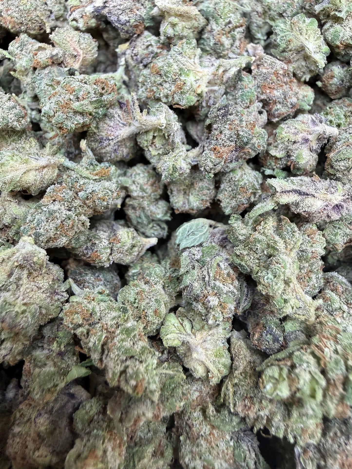 1 Pound - Frosted Fruit Cake THCA Strain (Smalls) Frisco Labs