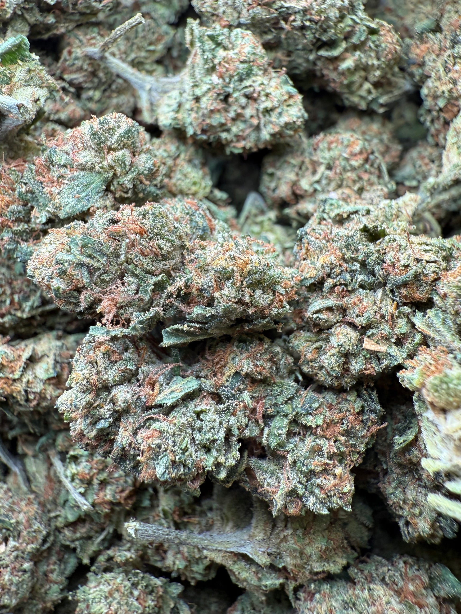 1 Pound - Frozen Lemons THCA Strain Frisco Labs