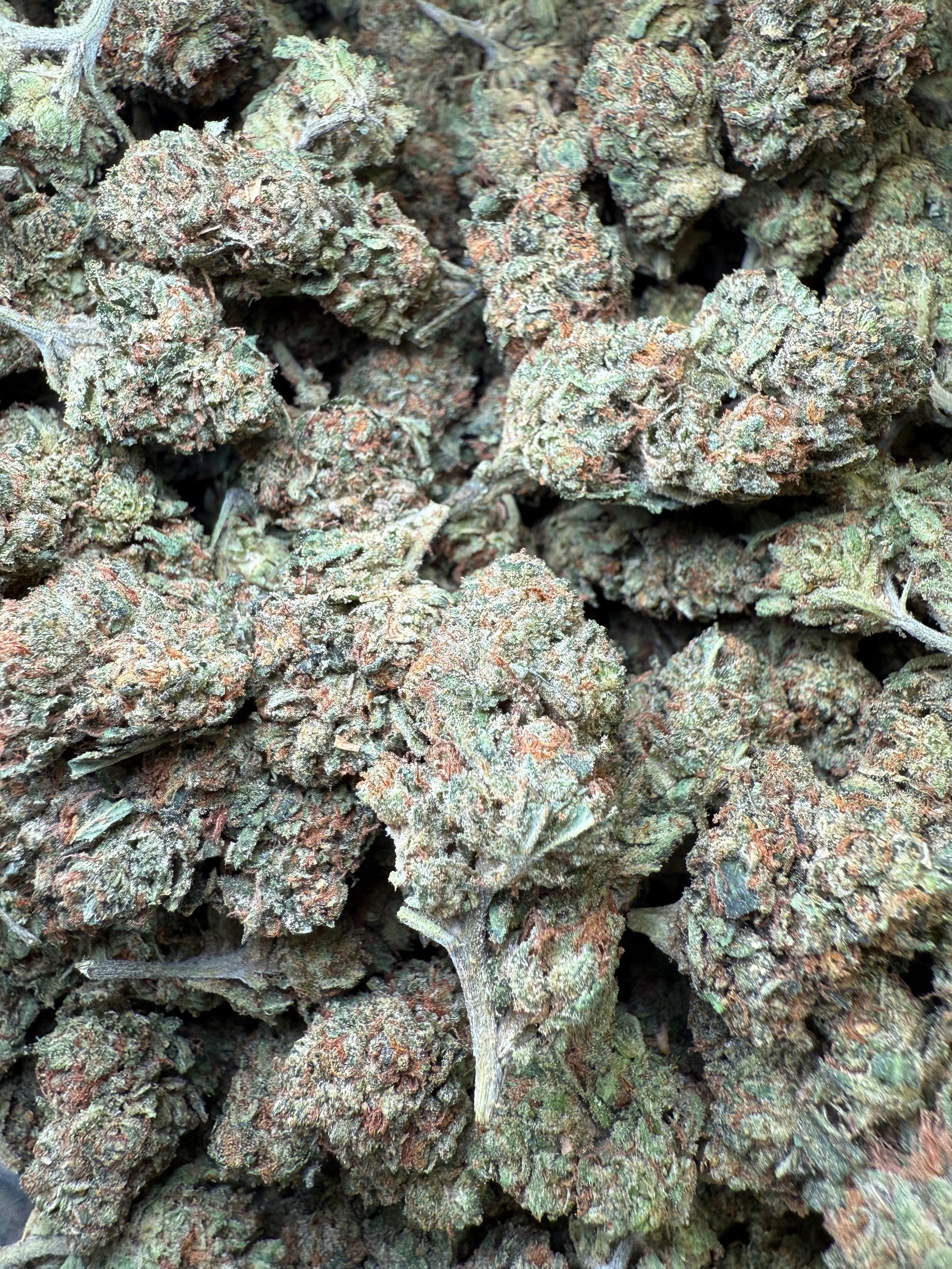 1 Pound - Frozen Lemons THCA Strain Frisco Labs