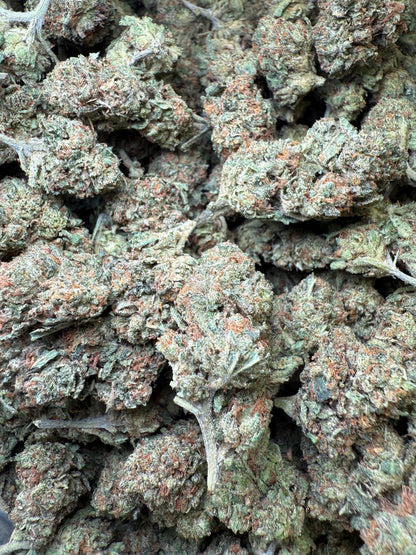 1 Pound - Frozen Lemons THCA Strain Frisco Labs