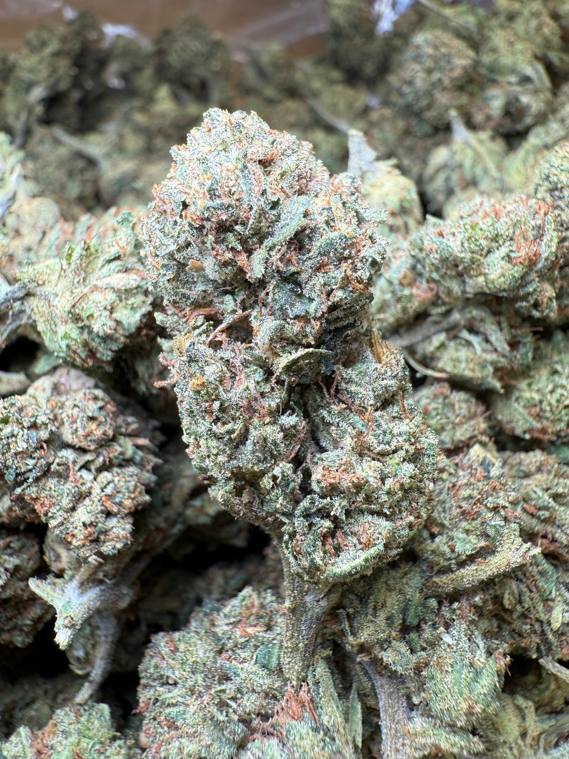 1 Pound - Frozen Lemons THCA Strain Frisco Labs