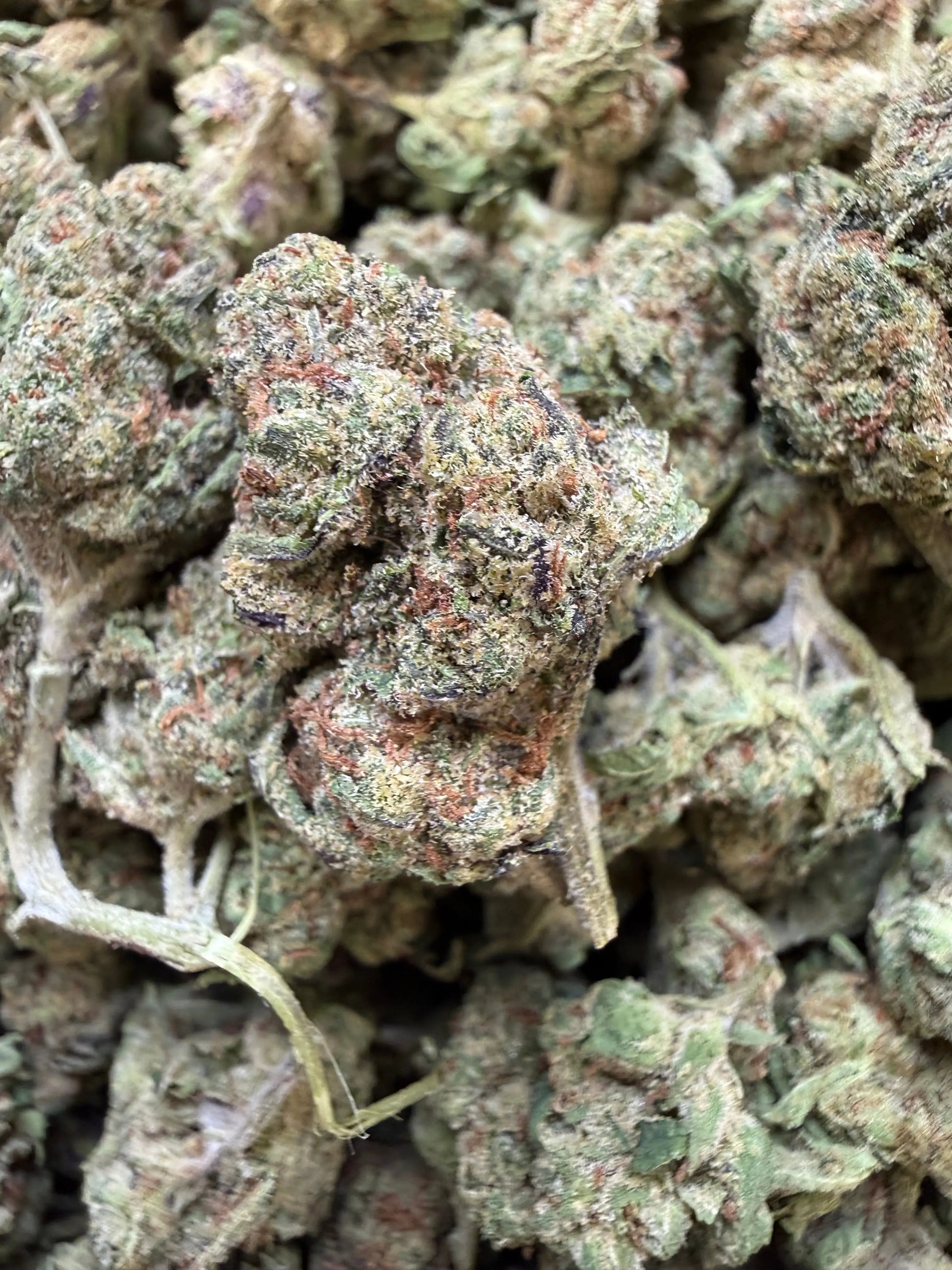 1 Pound - Frozen Lemons THCA Strain Frisco Labs