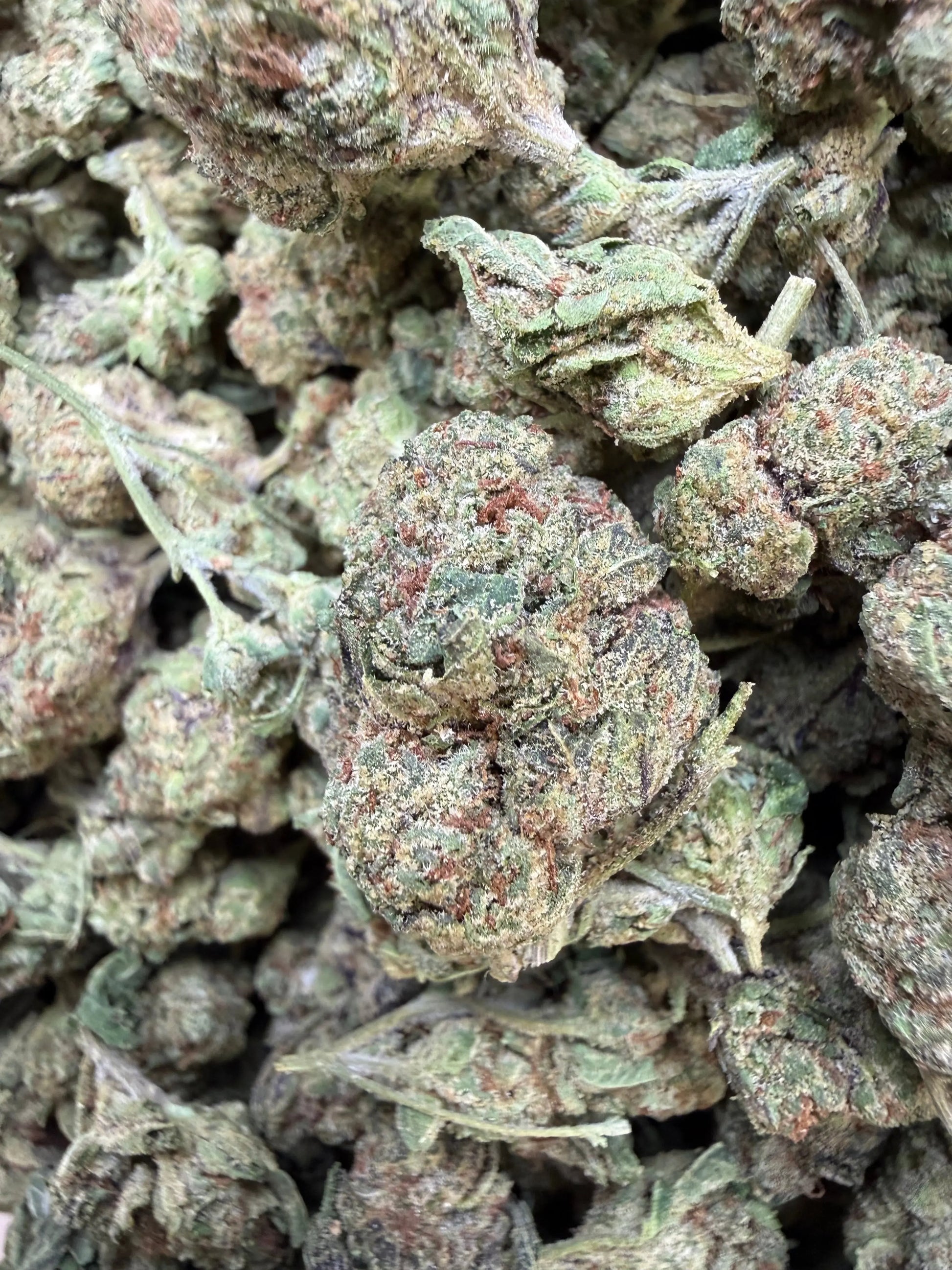 1 Pound - Frozen Lemons THCA Strain Frisco Labs