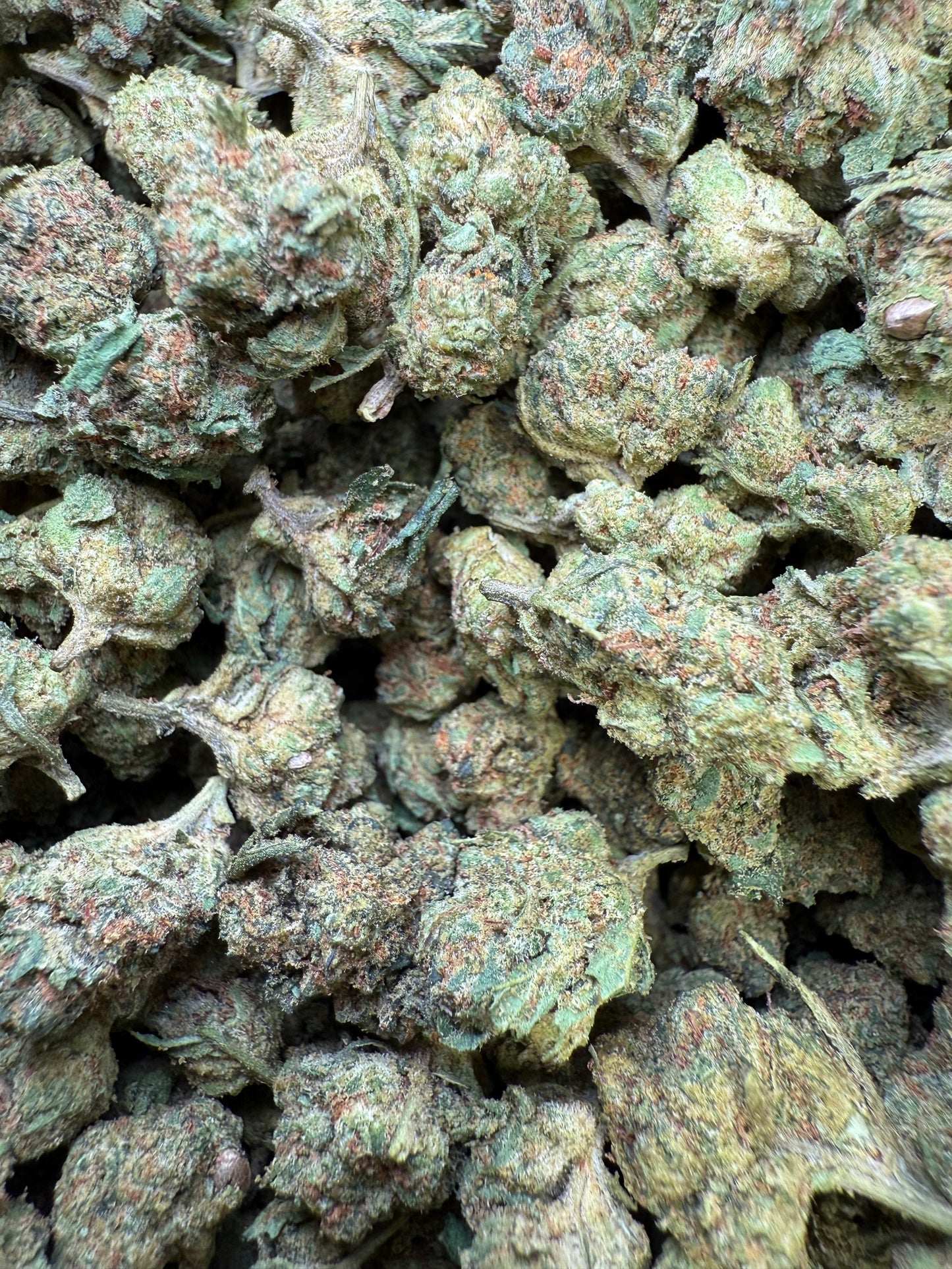 1 Pound - Frozen Lemons THCA Strain (Smalls) Frisco Labs