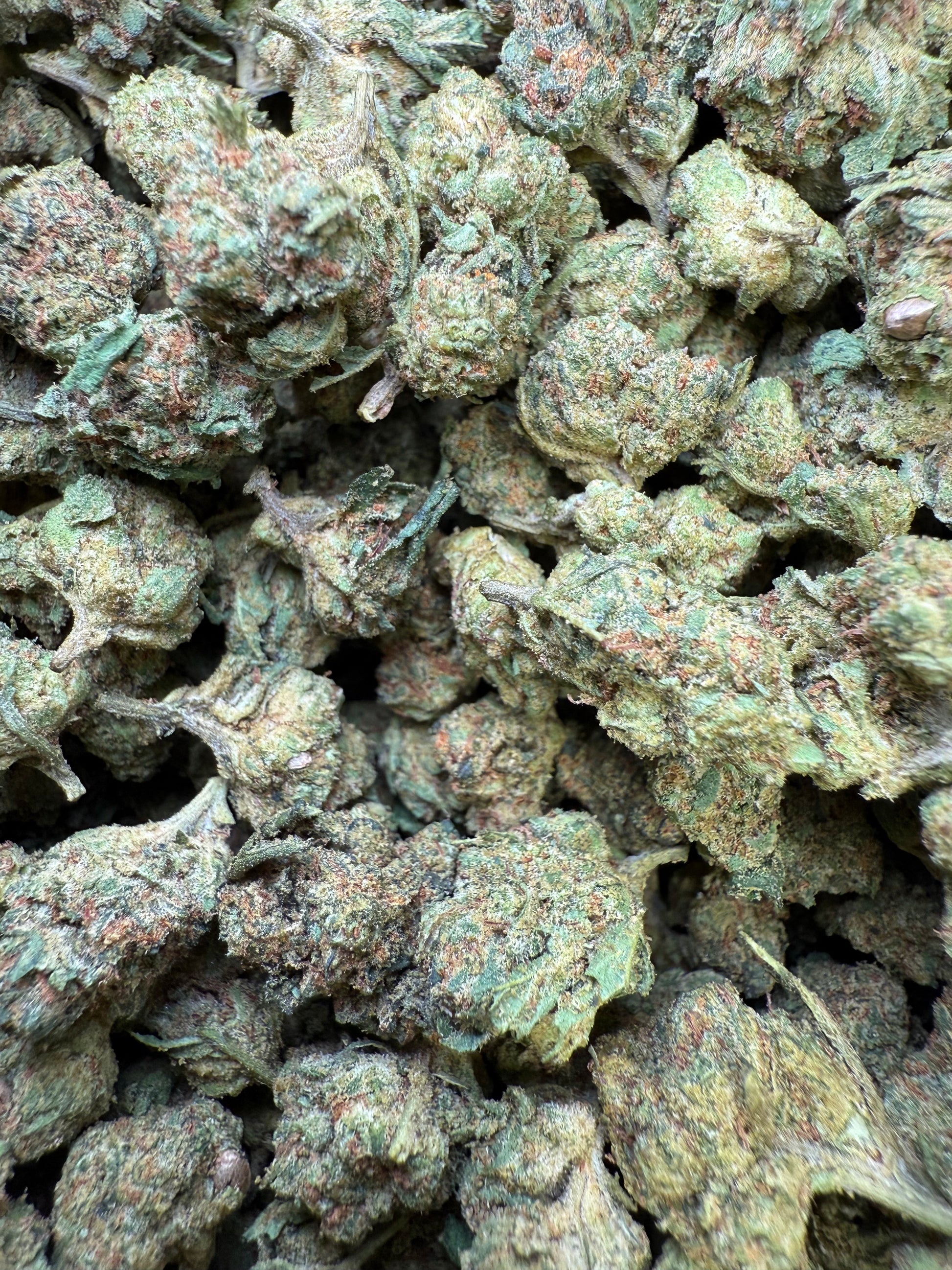 1 Pound - Frozen Lemons THCA Strain (Smalls) Frisco Labs