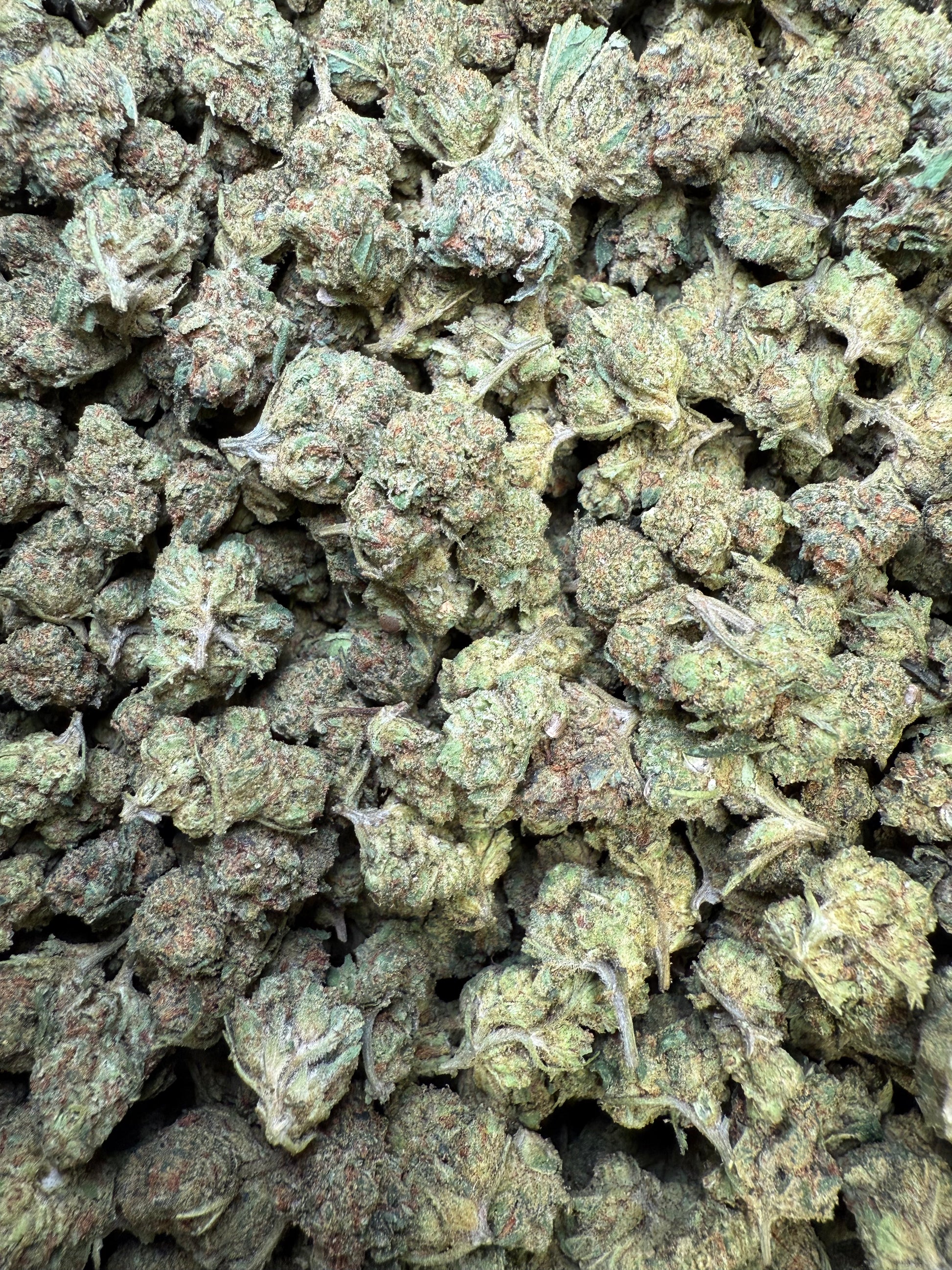 1 Pound - Frozen Lemons THCA Strain (Smalls) Frisco Labs