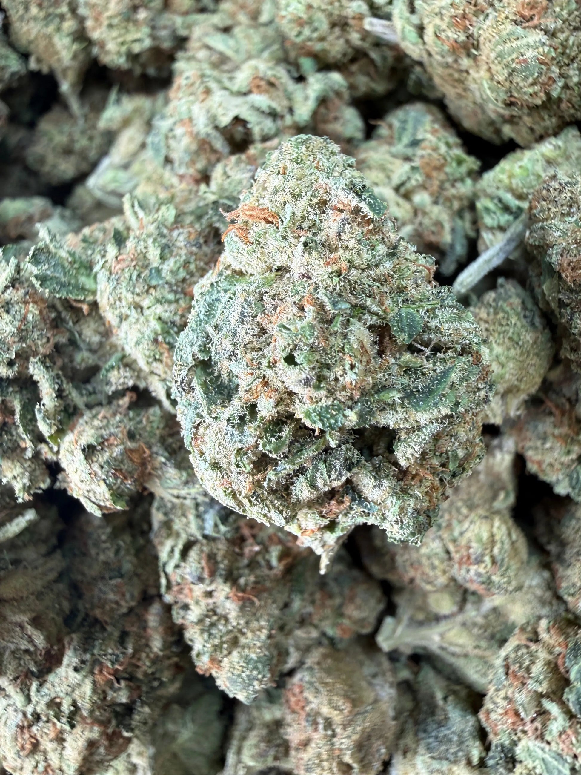 1 Pound - Fruity Pebbles OG THCA Strain Frisco Labs