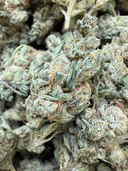 1 Pound Gary Payton Runtz THCA Flower | Bulk Greenhouse Hemp | Frisco ...