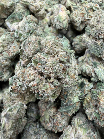 1 Pound - Gas Bandit THCA Strain Frisco Labs