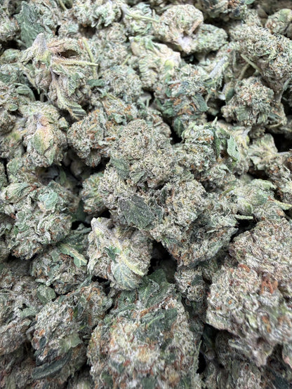 1 Pound - Gas Bandit THCA Strain Frisco Labs