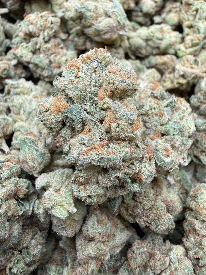 1 Pound - Glitter Bomb THCA Strain Frisco Labs