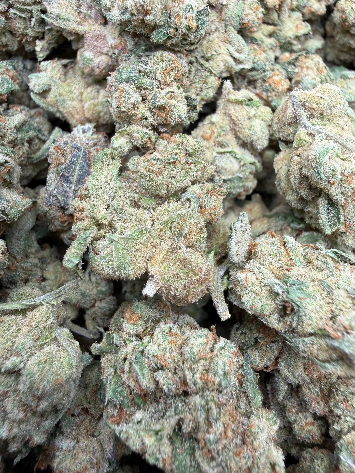 1 Pound - Glitter Bomb THCA Strain Frisco Labs