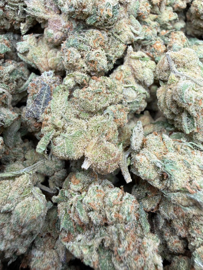 1 Pound - Glitter Bomb THCA Strain Frisco Labs