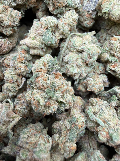 1 Pound - Glitter Bomb THCA Strain Frisco Labs