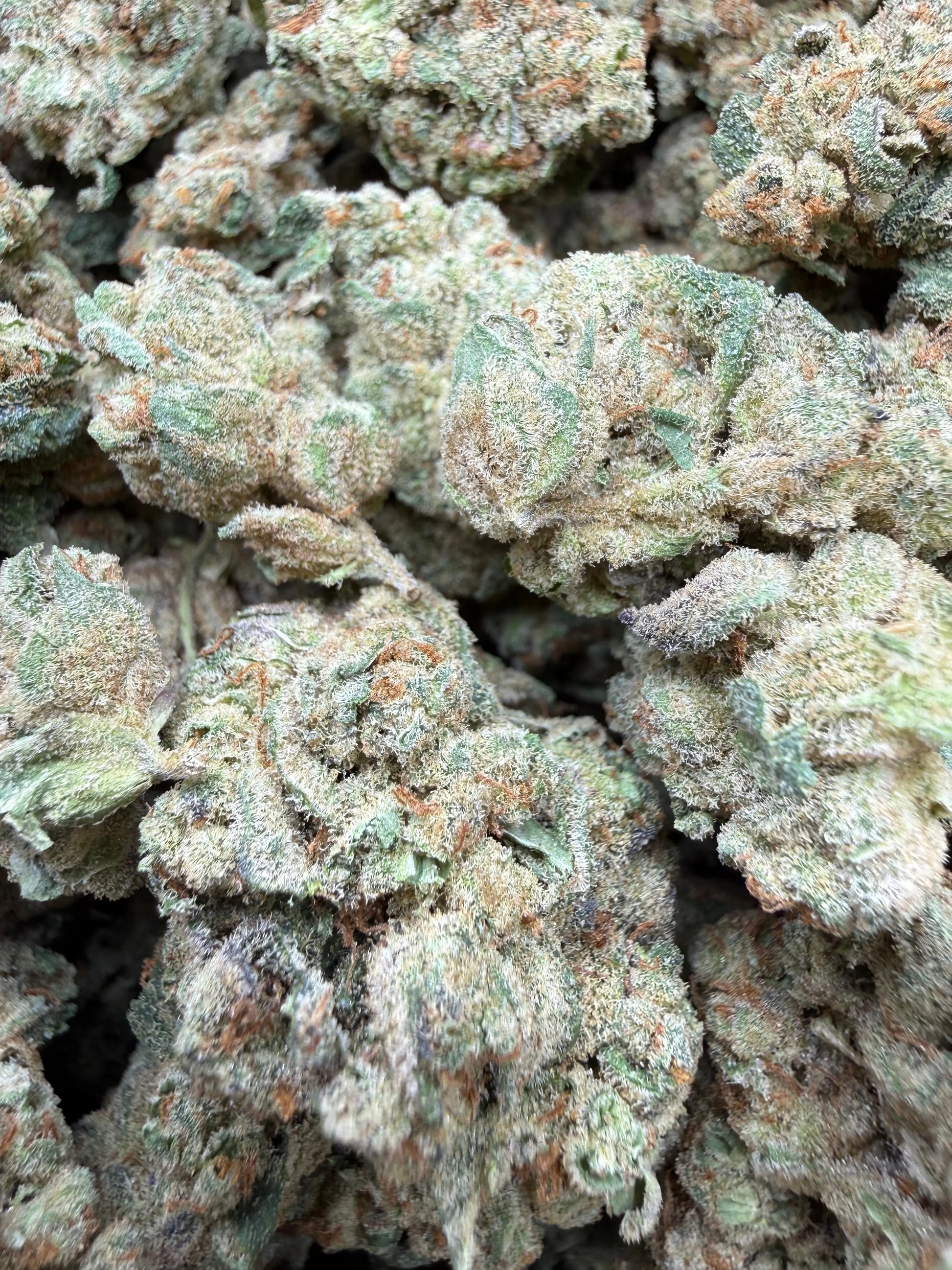 1 Pound - Glitter Bomb THCA Strain Frisco Labs