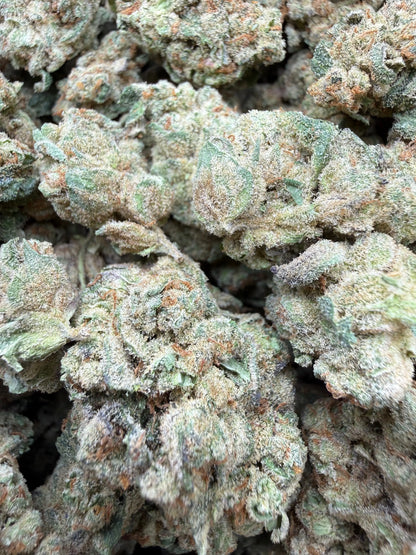 1 Pound - Glitter Bomb THCA Strain Frisco Labs