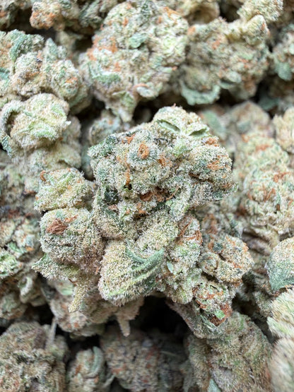 1 Pound - Glitter Bomb THCA Strain Frisco Labs