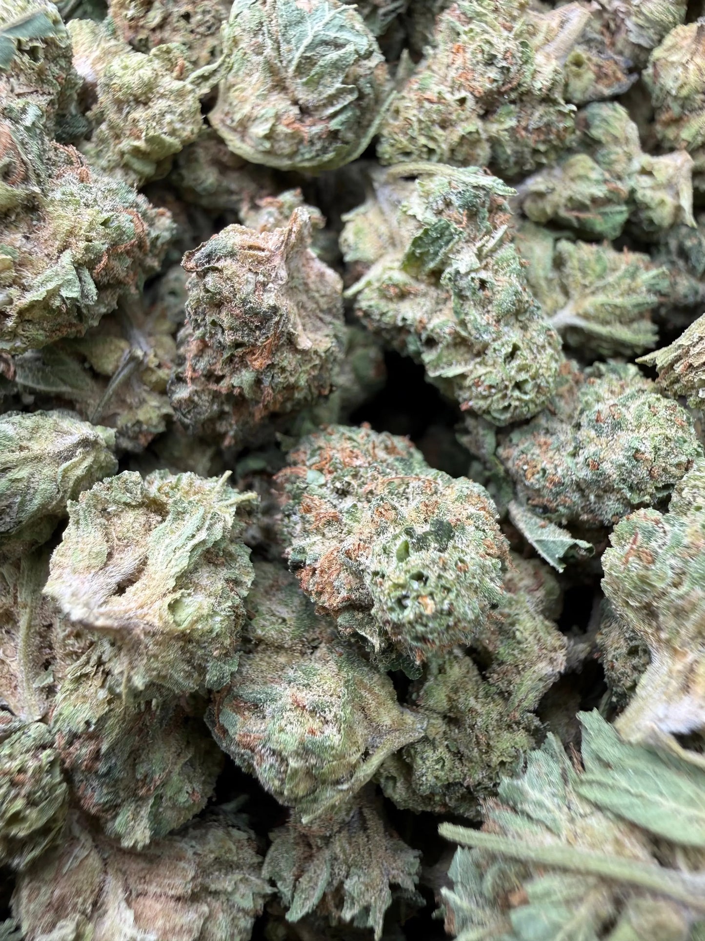 1 Pound - Gorilla OG THCA Strain (Smalls) Frisco Labs