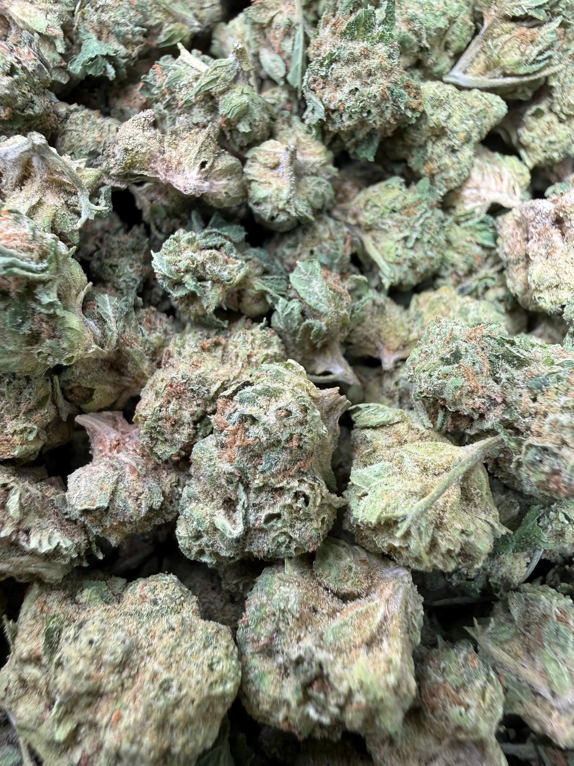1 Pound - Gorilla OG THCA Strain (Smalls) Frisco Labs