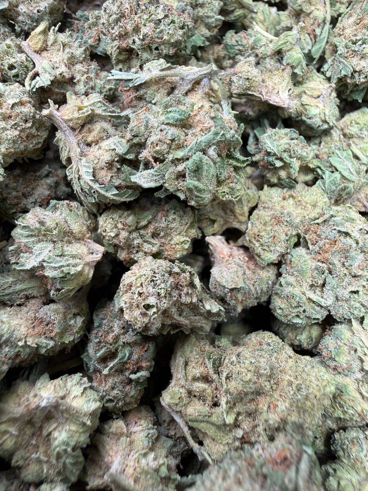 1 Pound - Gorilla OG THCA Strain (Smalls) Frisco Labs