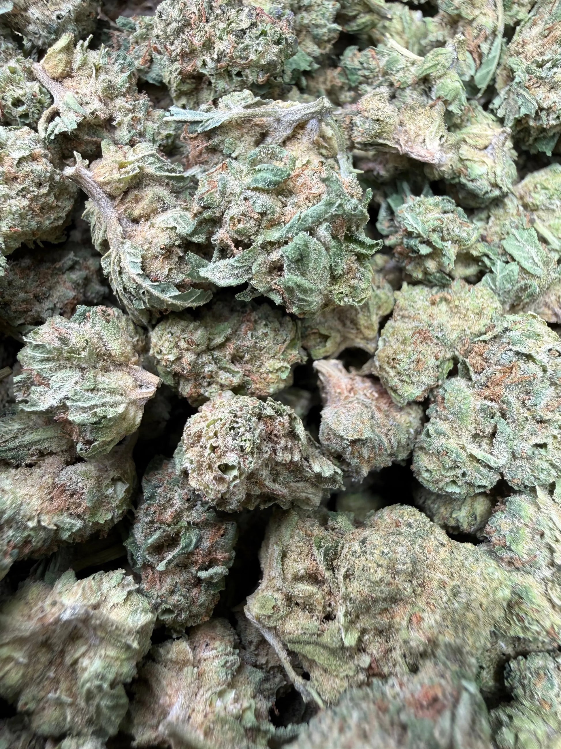 1 Pound - Gorilla OG THCA Strain (Smalls) Frisco Labs