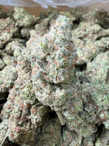 1 Pound -  GovernMintz THCA Strain Frisco Labs
