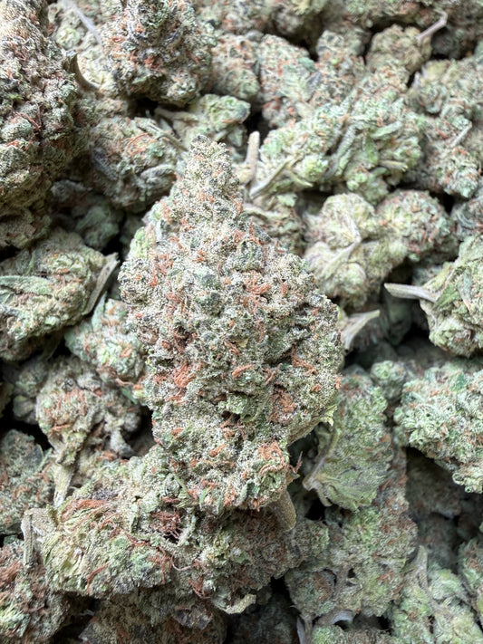 1 Pound -  GovernMintz THCA Strain Frisco Labs