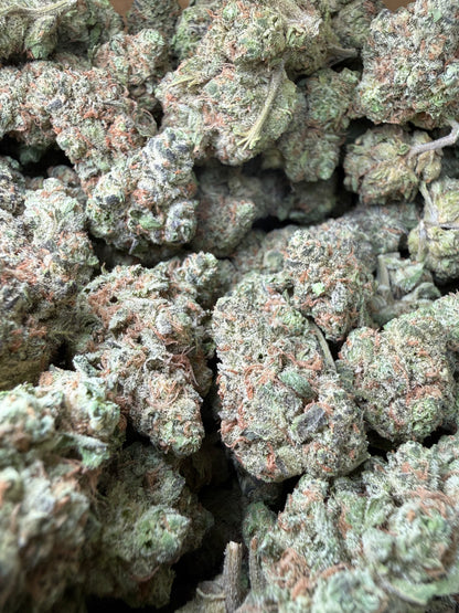 1 Pound -  GovernMintz THCA Strain Frisco Labs
