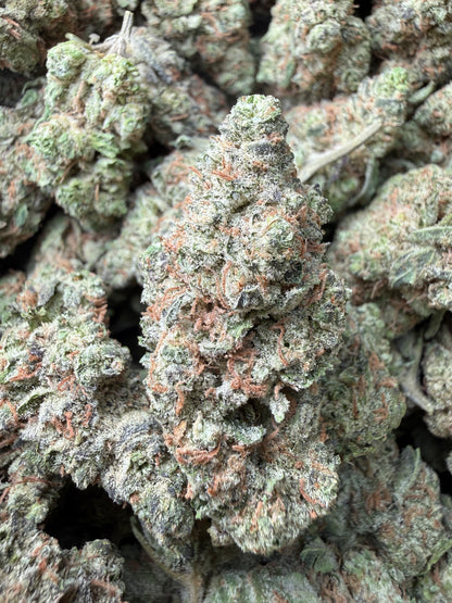 1 Pound -  GovernMintz THCA Strain Frisco Labs