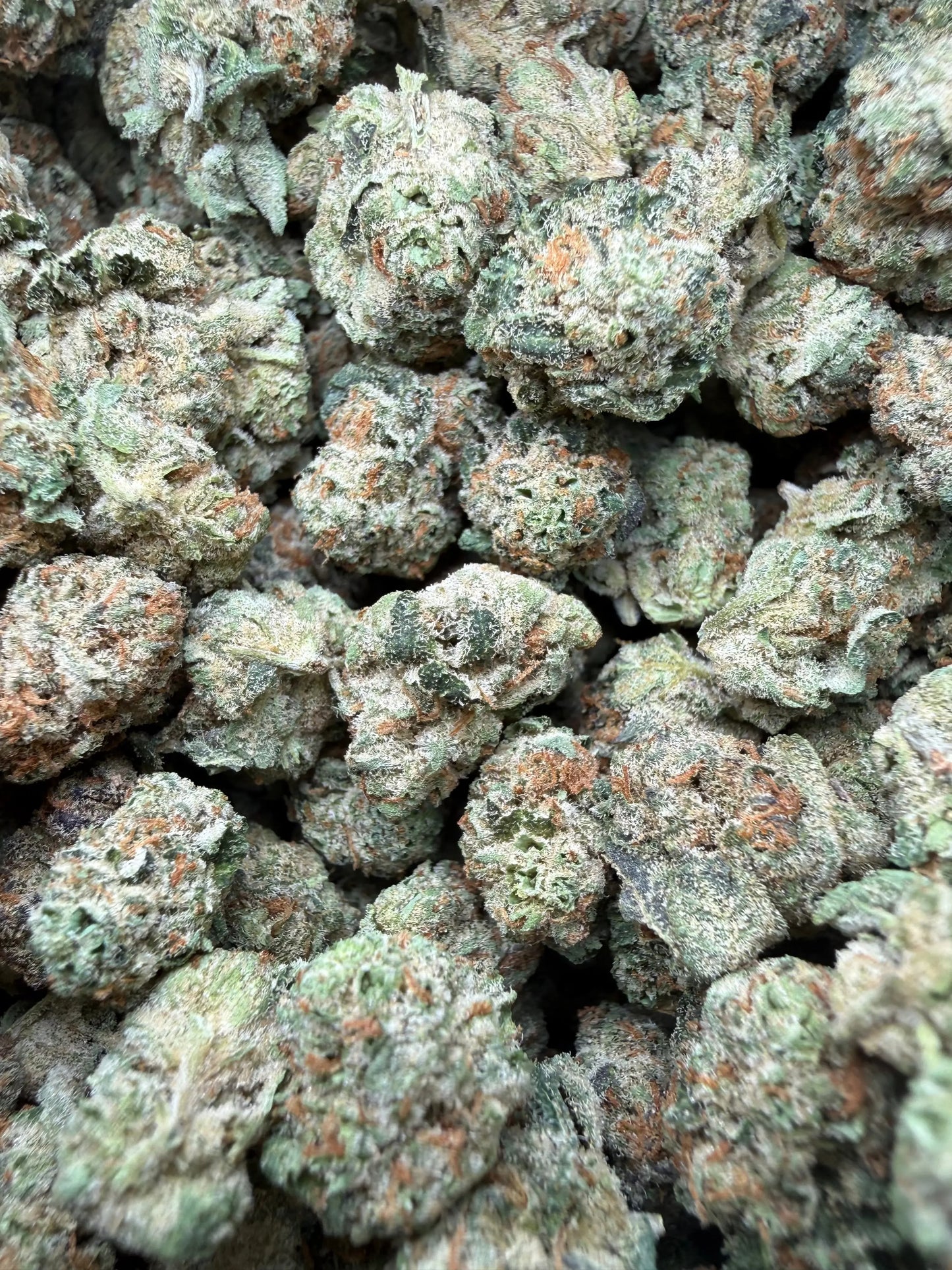 1 Pound - Grape Sugar Cookies THCA Strain (Smalls) Frisco Labs