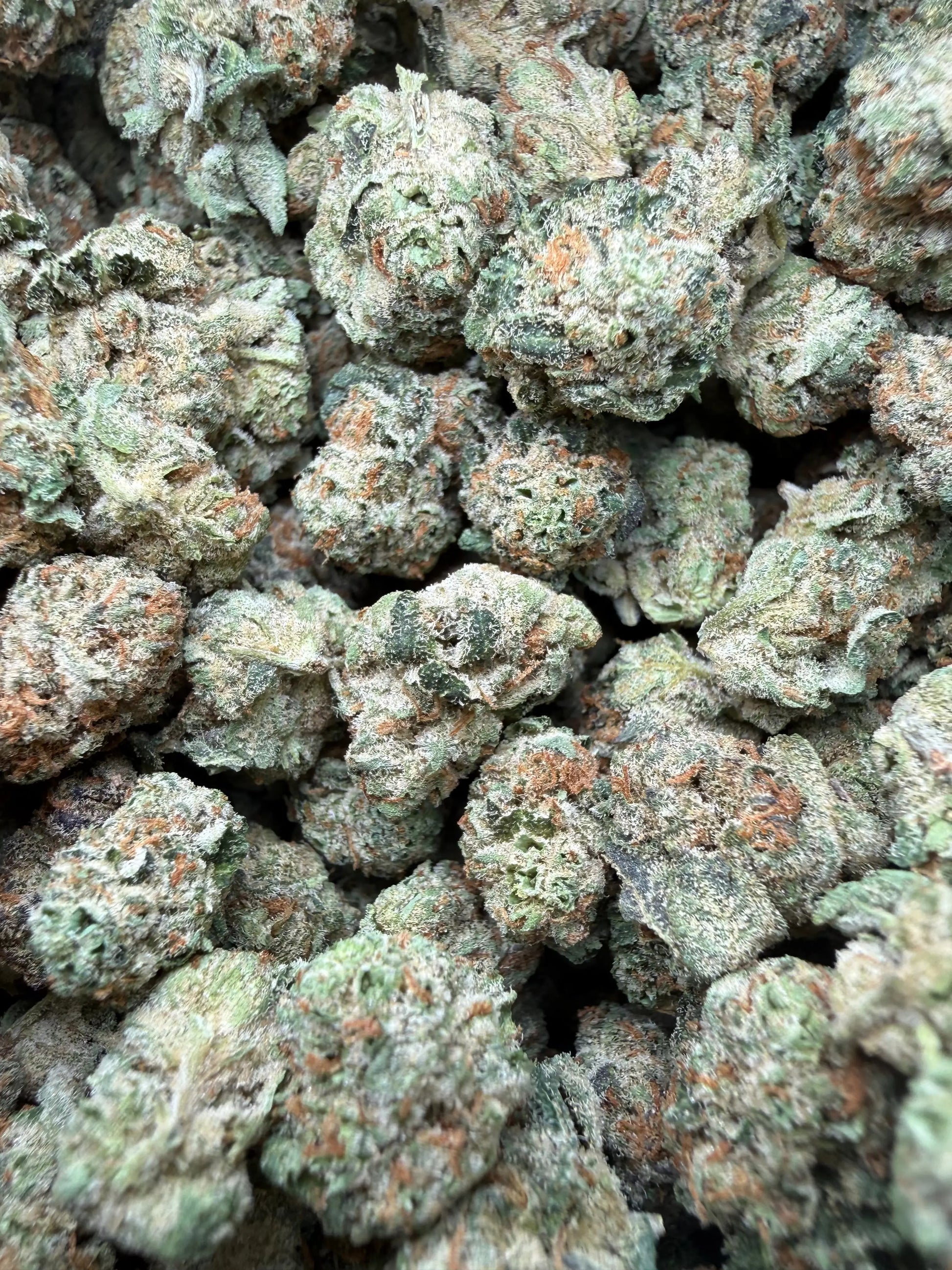 1 Pound - Grape Sugar Cookies THCA Strain (Smalls) Frisco Labs