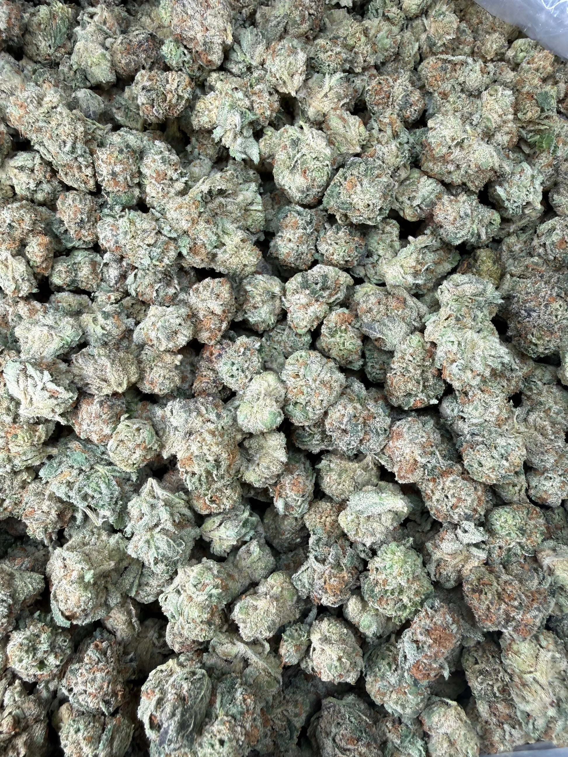 1 Pound - Grape Sugar Cookies THCA Strain (Smalls) Frisco Labs