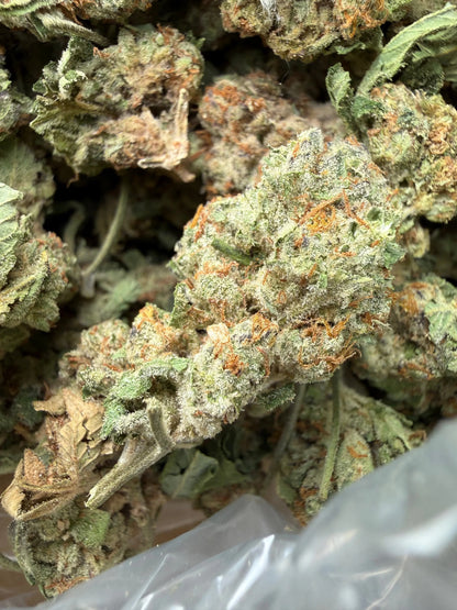 1 Pound - Gush Mints THCA Strain Frisco Labs