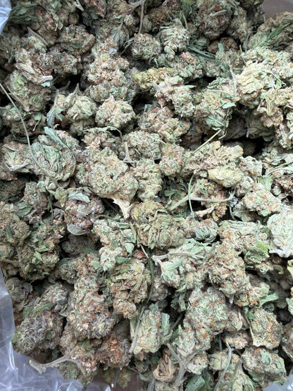 1 Pound - Gush Mints THCA Strain Frisco Labs