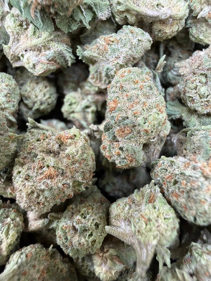 1 Pound - Gush Mints THCA Strain (Small) Frisco Labs