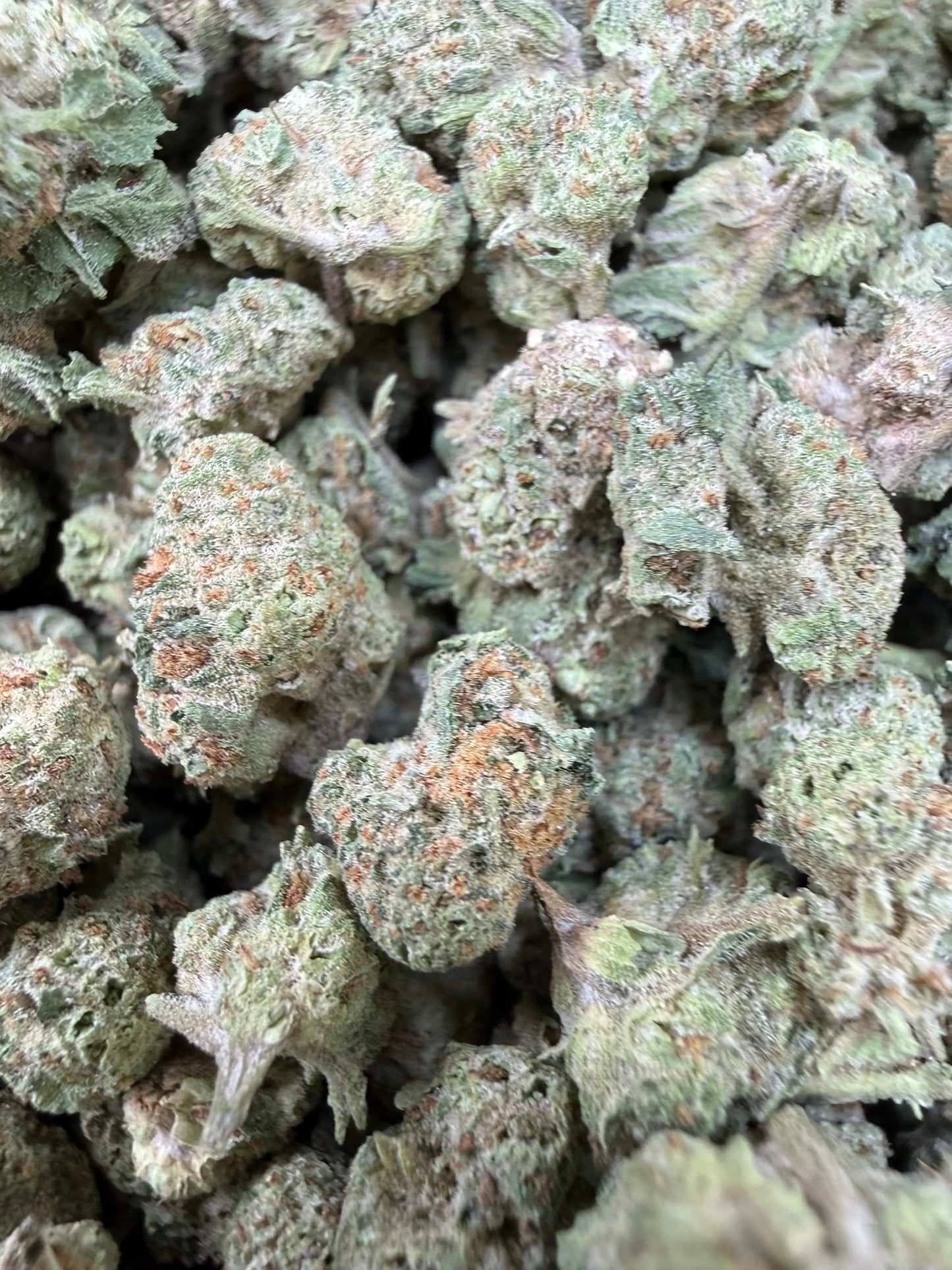 1 Pound - Gush Mints THCA Strain (Small) Frisco Labs