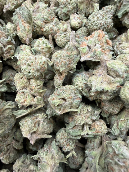1 Pound - Gush Mints THCA Strain (Small) Frisco Labs