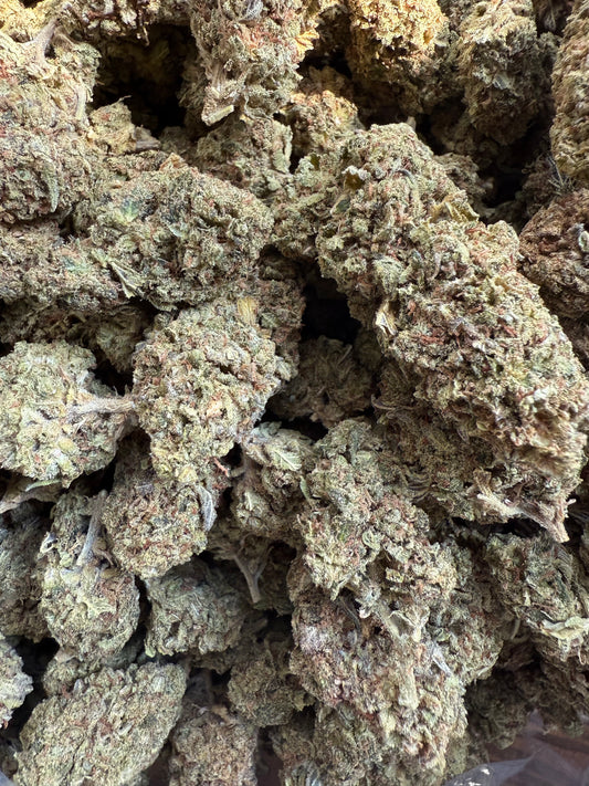 1 Pound Jack Herer THCA FL Fulfillment Center