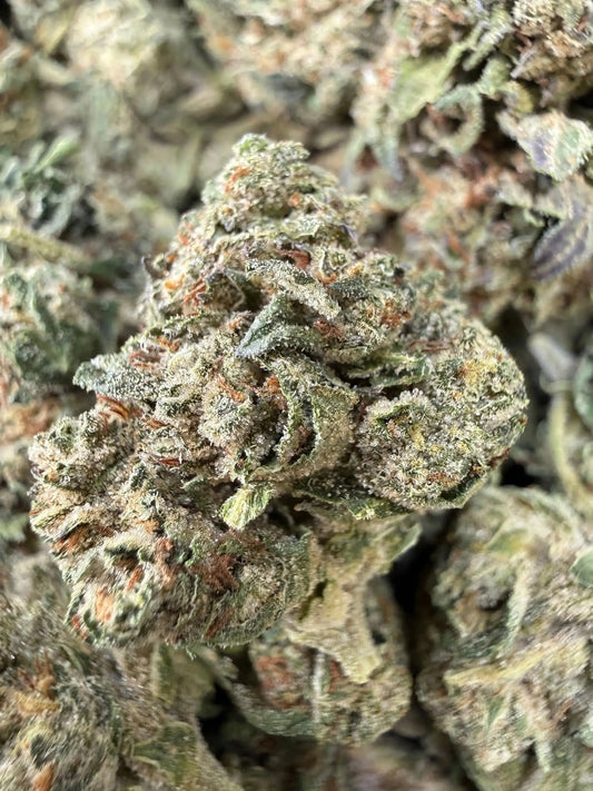 1 Pound - Jokers Runtz THCA Strain Frisco Labs