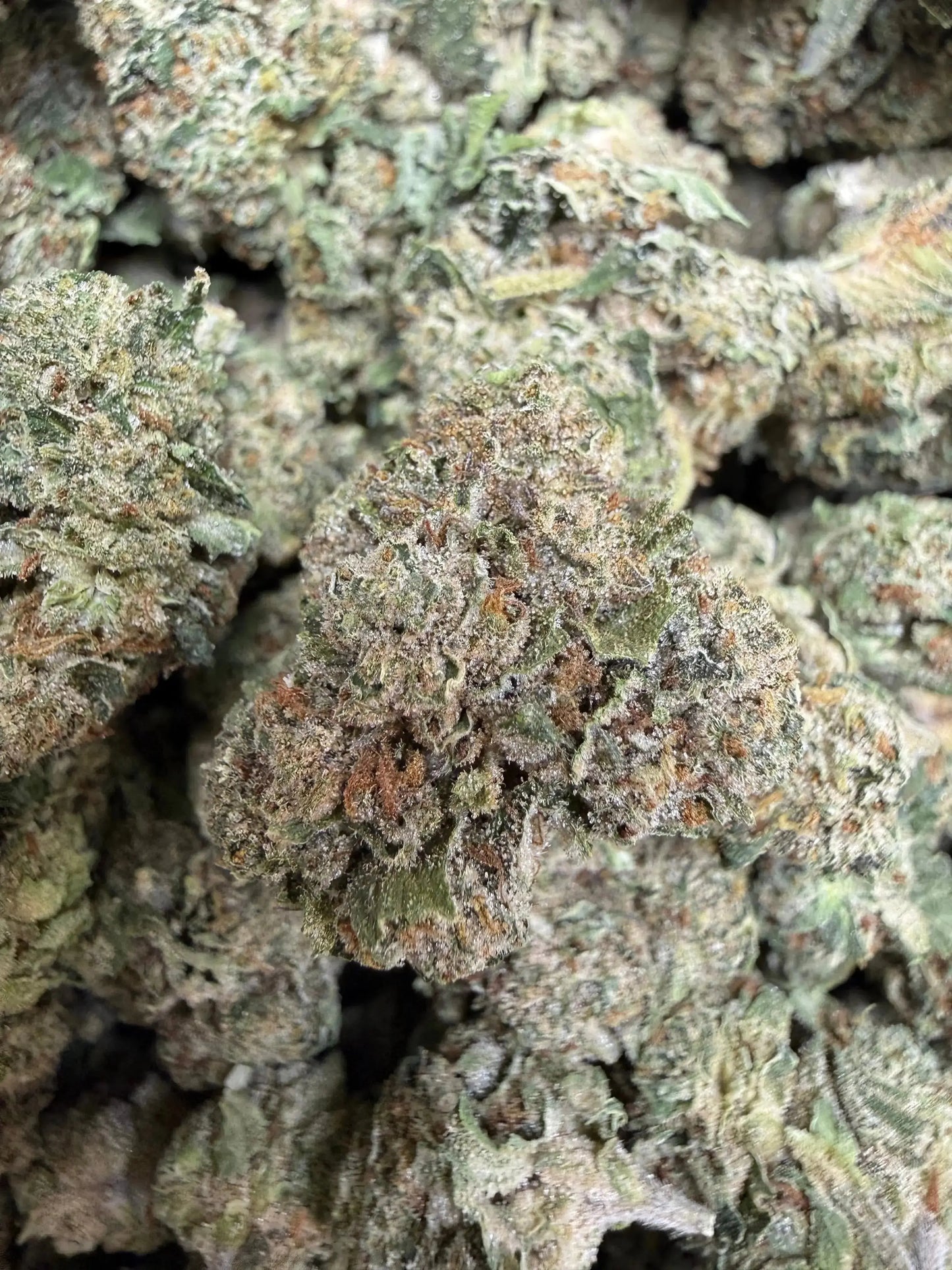 1 Pound - Jokers Runtz THCA Strain Frisco Labs