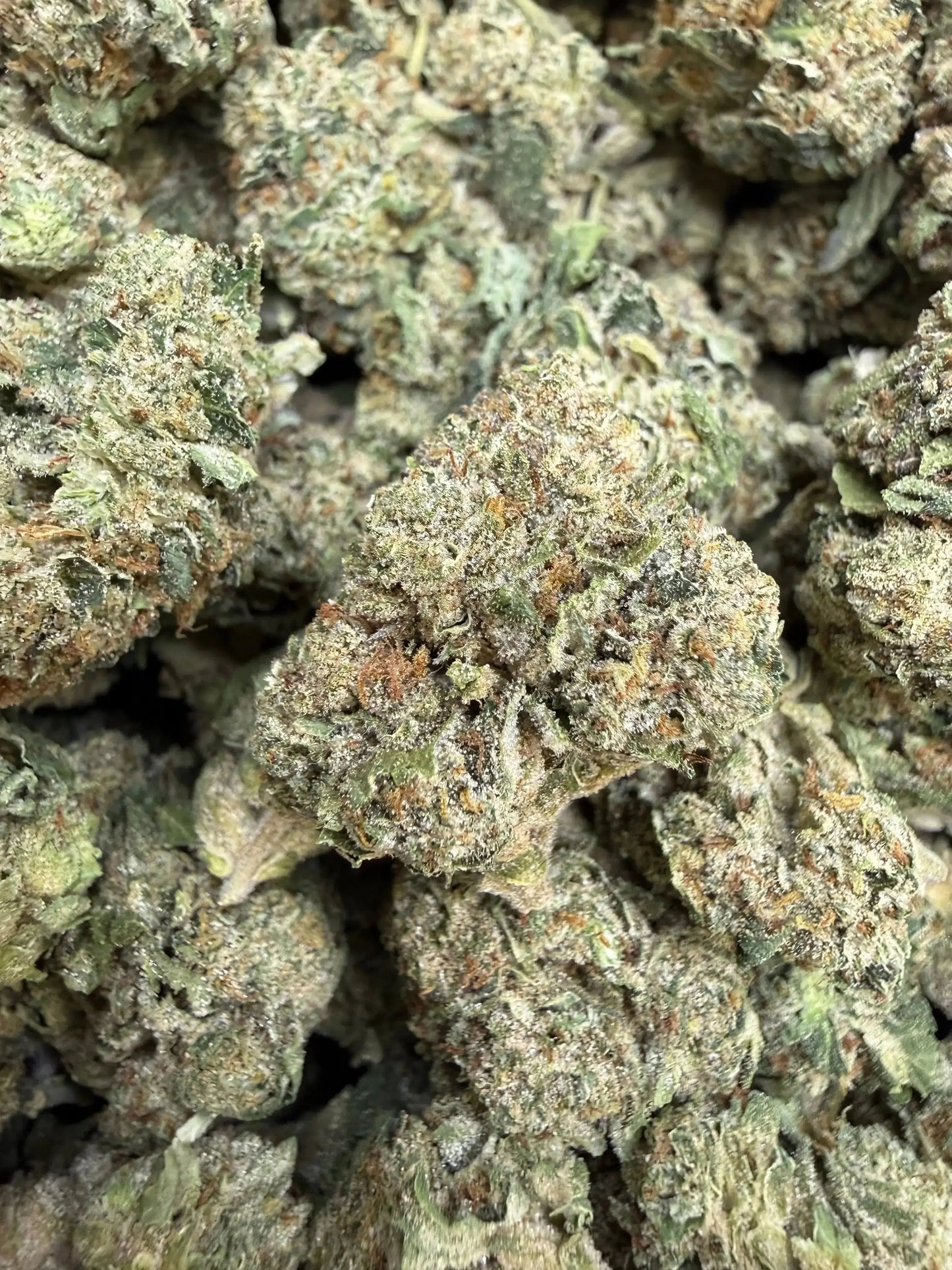 1 Pound - Jokers Runtz THCA Strain Frisco Labs