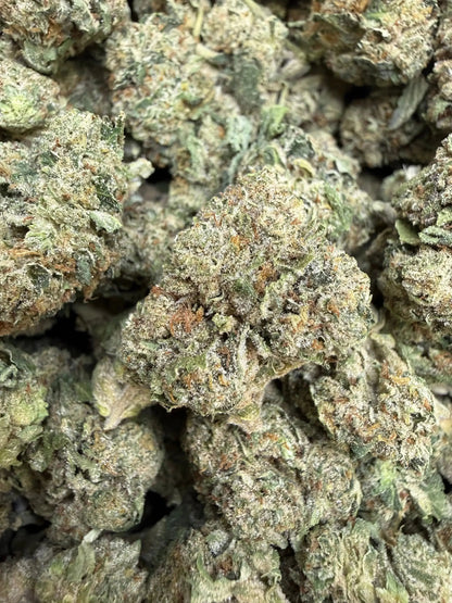 1 Pound - Jokers Runtz THCA Strain Frisco Labs