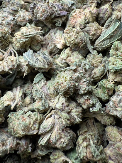 1 Pound - Jokers Runtz THCA Strain (Small) Frisco Labs